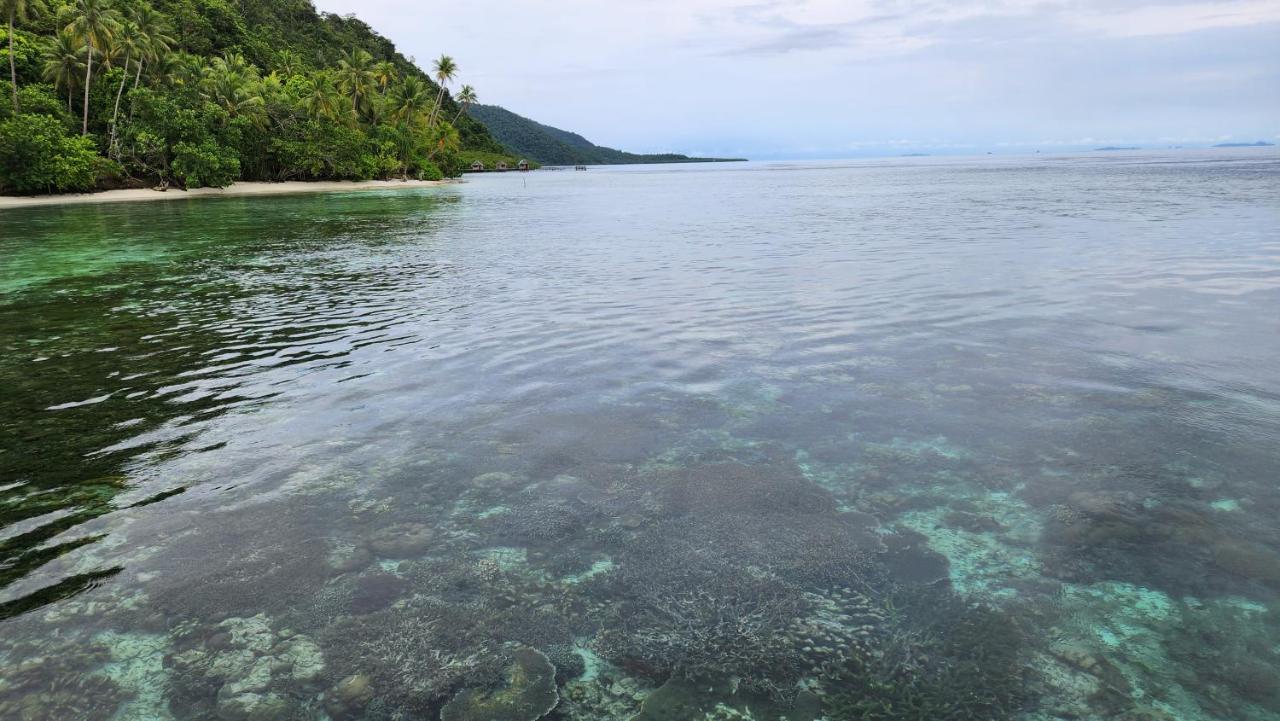 Terimakasih Homestay Pulau Mansuar ภายนอก รูปภาพ